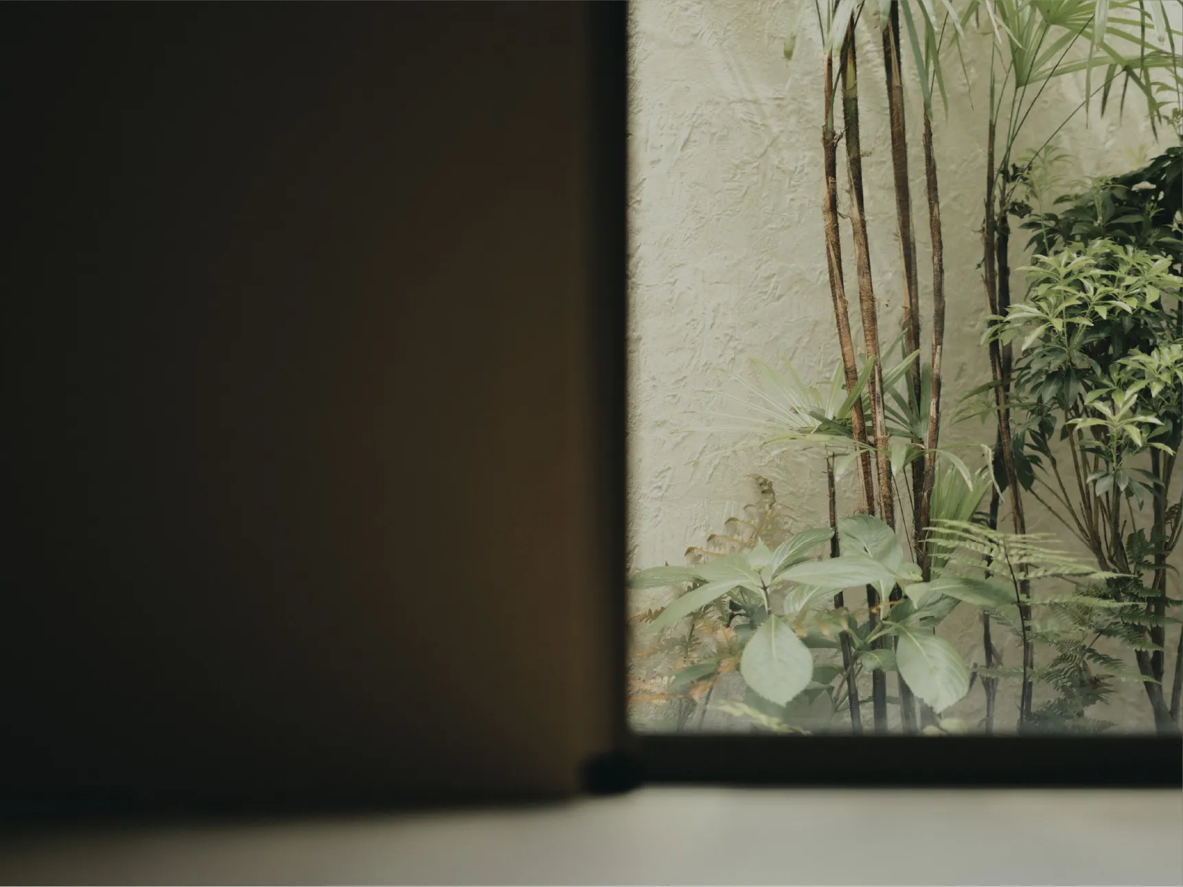 Biophilic